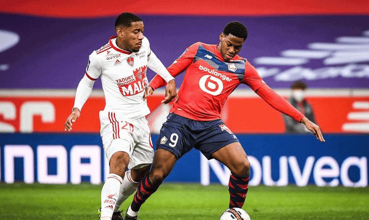 星的高度认 星的高度认