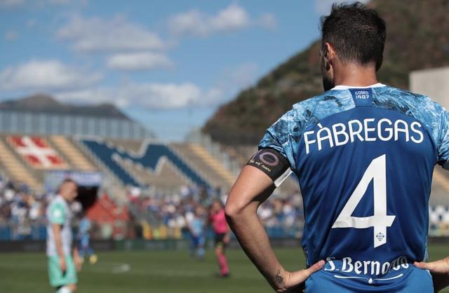 不仅展示了 不仅展示了