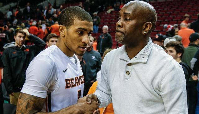 协副主席 协副主席